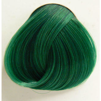 barva las DIRECTIONS - Jabolčno zelena